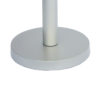 Tasmin silver 03